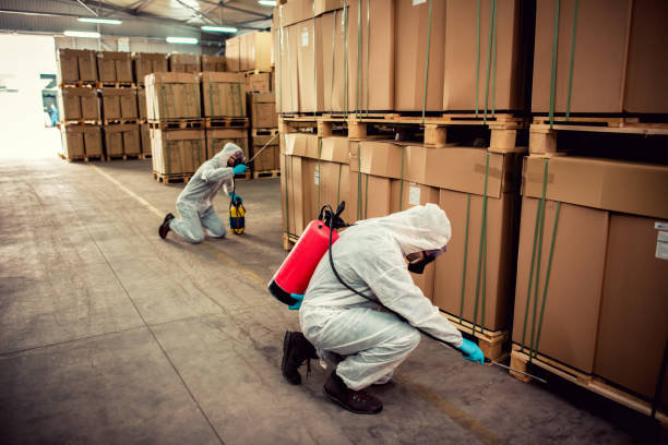 Best Pest Control Near Me  in Madera Ranchos, CA