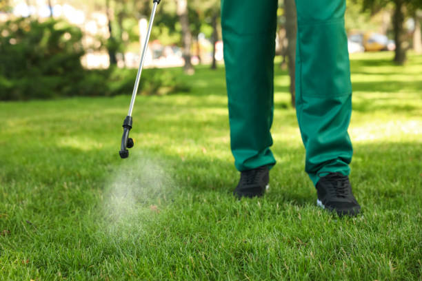 Best Pest Prevention Services  in Madera Ranchos, CA