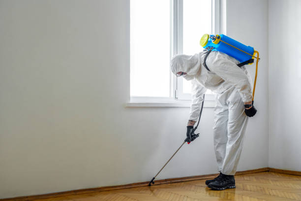 Best Cockroach Control Services  in Madera Ranchos, CA