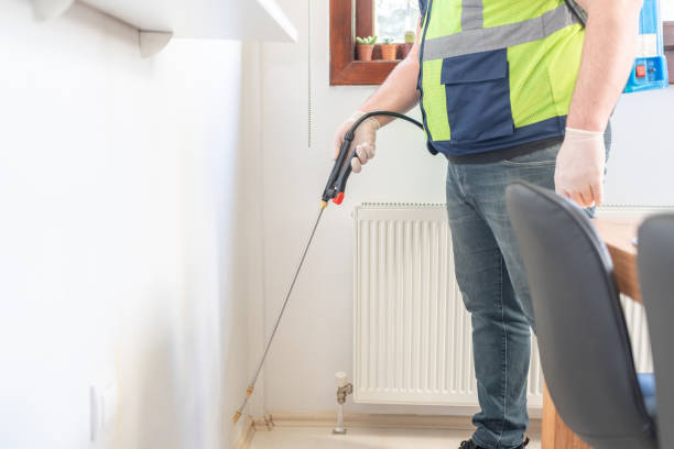 Flea Control Services in Madera Ranchos, CA