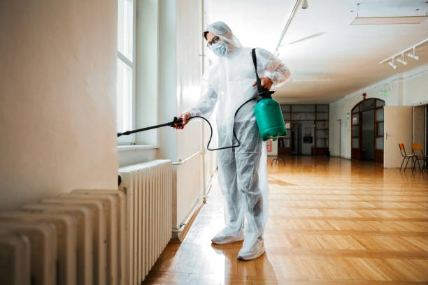 Best Wasp Removal Services  in Madera Ranchos, CA
