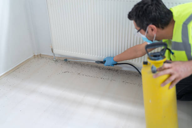 Reliable Madera Ranchos, CA Pest Control Solutions